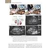 G�rsel 25