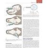 G�rsel 27