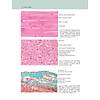 G�rsel 28