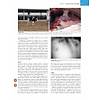 G�rsel 10