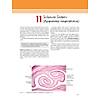 G�rsel 41