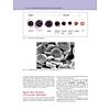 G�rsel 34