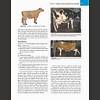 G�rsel 13