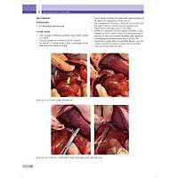 KED� ve K�PEKLERDE CERRAH� AC�LLER (Tan�dan Tedaviye)