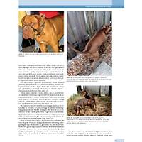 K�PEK ve KED�LERDE DAVRANI� SORUNLARI