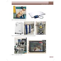 KED� ve K�PEKLERDE CERRAH� AC�LLER (Tan�dan Tedaviye)