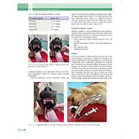 KED� ve K�PEKLERDE CERRAH� AC�LLER (Tan�dan Tedaviye)