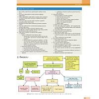 K�PEK ve KED�LERDE DAVRANI� SORUNLARI