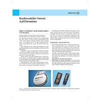 KED� ve K�PEKLERDE CERRAH� AC�LLER (Tan�dan Tedaviye)