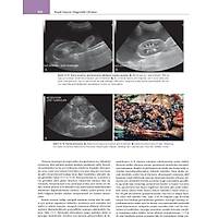 K���K HAYVAN D�AGNOST�K ULTRASON (4. Bask�)<p>Toplam 265 adet Video
