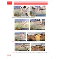 KED� ve K�PEKLERDE CERRAH� AC�LLER (Tan�dan Tedaviye)