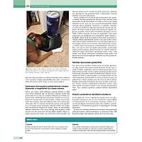 K�PEK ve KED�LERDE DAVRANI� SORUNLARI