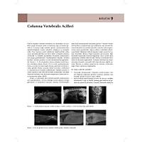 KED� ve K�PEKLERDE CERRAH� AC�LLER (Tan�dan Tedaviye)