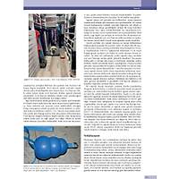 K�PEK ve KED�LERDE DAVRANI� SORUNLARI