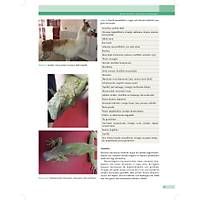 KED� ve K�PEKLERDE CERRAH� AC�LLER (Tan�dan Tedaviye)