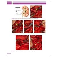 KED� ve K�PEKLERDE CERRAH� AC�LLER (Tan�dan Tedaviye)