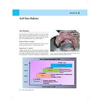 KED� ve K�PEKLERDE CERRAH� AC�LLER (Tan�dan Tedaviye)