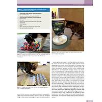 K�PEK ve KED�LERDE DAVRANI� SORUNLARI