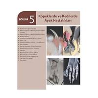 ��FTL�K HAYVANLARINDA AYAK HASTALIKLARI (3. Bask�)