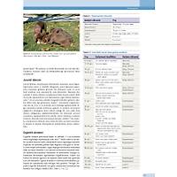 K�PEK ve KED�LERDE DAVRANI� SORUNLARI