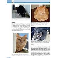 K�PEK ve KED�LERDE DAVRANI� SORUNLARI