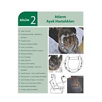 ��FTL�K HAYVANLARINDA AYAK HASTALIKLARI (3. Bask�)