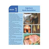 ��FTL�K HAYVANLARINDA AYAK HASTALIKLARI (3. Bask�)
