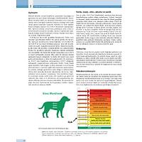 K�PEK ve KED�LERDE DAVRANI� SORUNLARI