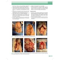 KED� ve K�PEKLERDE CERRAH� AC�LLER (Tan�dan Tedaviye)