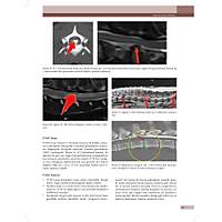 KED� ve K�PEKLERDE CERRAH� AC�LLER (Tan�dan Tedaviye)