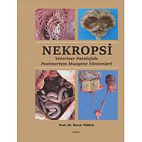 NEKROPS�