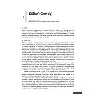 TM YNLERYLE LABORATUVAR HAYVANLARI