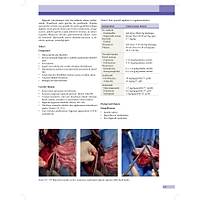 KED� ve K�PEKLERDE CERRAH� AC�LLER (Tan�dan Tedaviye)