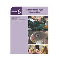 ��FTL�K HAYVANLARINDA AYAK HASTALIKLARI (3. Bask�)
