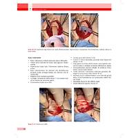 KED� ve K�PEKLERDE CERRAH� AC�LLER (Tan�dan Tedaviye)