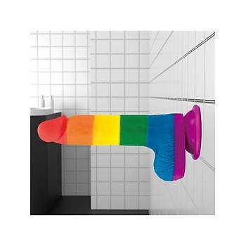 Realistik Vantuzlu Dildo Renkli Penis 20cm