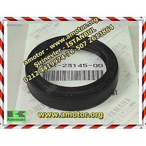 5VX231450000, 5vx-23145-00, YAG KECESI, amortis�r ke�e, fazer ke�e, fz6 ke�e