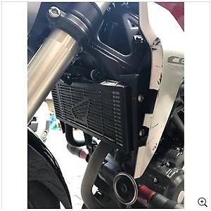 Honda Cb 250R Radyat�r Koruma