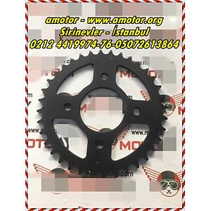 Sym Wolf 250 Arka Di�li, Wolf 250 Di�li