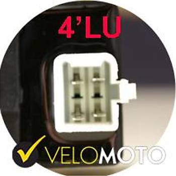 504-113	 CDI NTE 110cc CupLF110,ZS110 (DC)