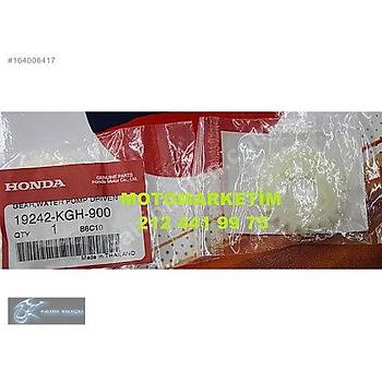 19242 KGH 900 GEAR, WATER PUMP D