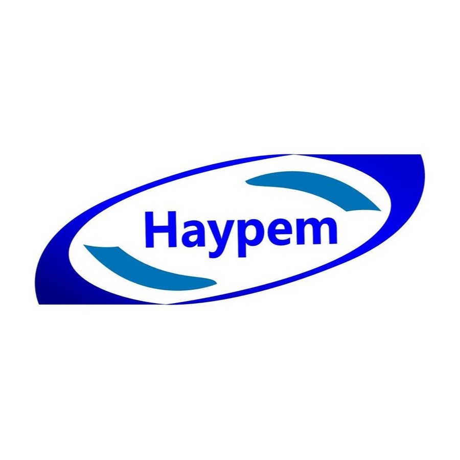 Haypem Elektronik