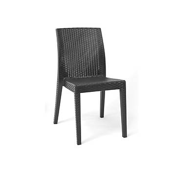 Siena Starlux Rattan Kolsuz Sandalye Antrasit
