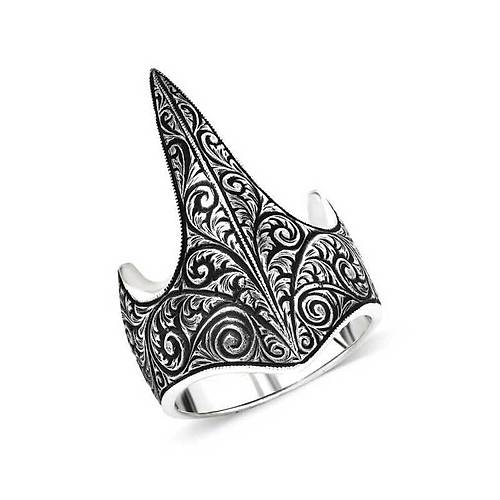 G�m�� Eli�i Ok�u Zihgir Y�z���