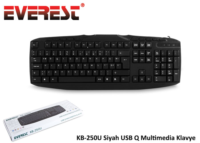 Everest KB-250U Q TR USB Multimedıa Siyah Kablolu Klavye