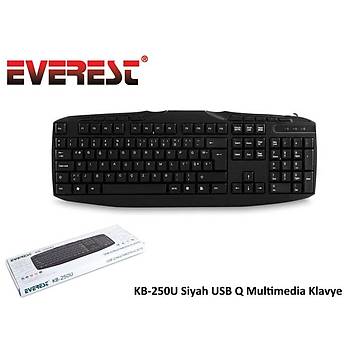 Everest KB-250U Q TR USB Multimedýa Siyah Kablolu Klavye
