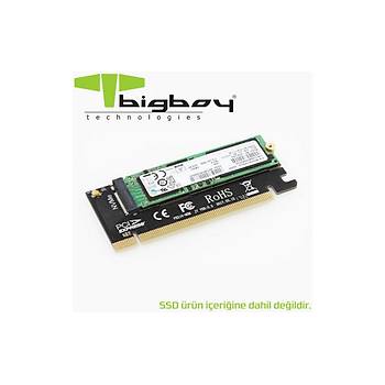 Bigboy BTC-M2NV161U PCIe 3.0 x16 PCI M.2 x4 to M Key Çevirici Ünitesi
