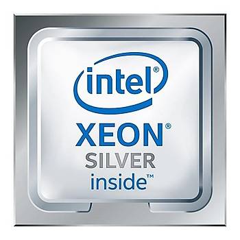 Hp P02491-B21 DL380 Gen10 Xeon Silver 4208 Kit Sunucu Ýþlemcisi