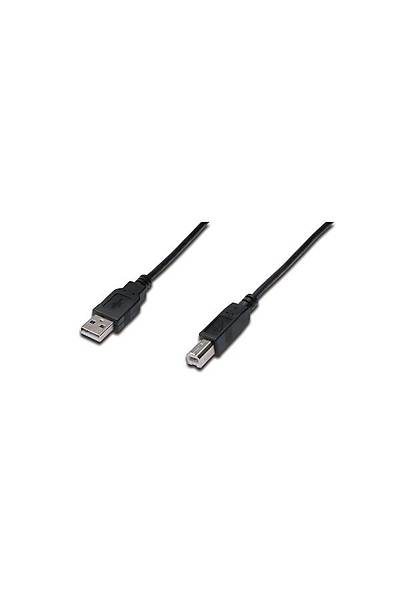 Digitus AK-300102-030-S 3 Mt USB 2.0 to USB 2.0 Tip B Erkek-Erkek AWG28 USB 2.0 Yazc Kablosu