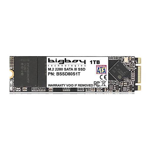 Bigboy BSSD80S1T 1 TB 550-430 Mb/s 22x80 M.2 SATA3 SSD Harddisk